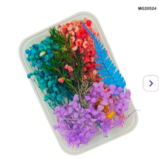 Dry Flower Box MG20524
dry flower for resin art
wholesale dried flowers for resin
dried flowers for resin meesho
artificial flowers for resin art
dried flowers for resin jewellery
dry flowers for resin art near me
dried flowers for resin wholesale india
small dried flowers for resin
dried flowers for resin flipkart
insane craft supplies