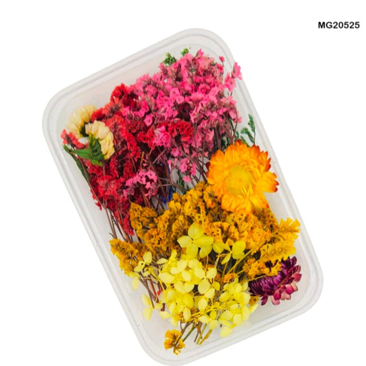 dry flower for resin art
wholesale dried flowers for resin
dried flowers for resin meesho
artificial flowers for resin art
dried flowers for resin jewellery
dry flowers for resin art near me
dried flowers for resin wholesale india
small dried flowers for resin
dried flowers for resin flipkart
insane craft supplies