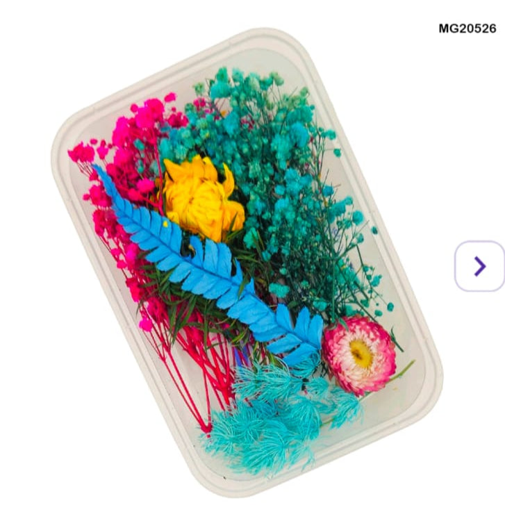 Dry Flower Box MG20526
dry flower for resin art
wholesale dried flowers for resin
dried flowers for resin meesho
artificial flowers for resin art
dried flowers for resin jewellery
dry flowers for resin art near me
dried flowers for resin wholesale india
small dried flowers for resin
dried flowers for resin flipkart
insane craft supplies