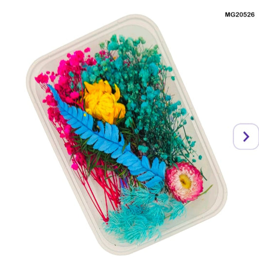 Dry Flower Box MG20526
dry flower for resin art
wholesale dried flowers for resin
dried flowers for resin meesho
artificial flowers for resin art
dried flowers for resin jewellery
dry flowers for resin art near me
dried flowers for resin wholesale india
small dried flowers for resin
dried flowers for resin flipkart
insane craft supplies
