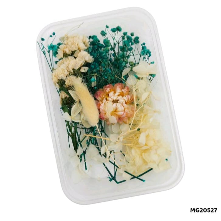 pressed flower
dry flower
gypsy flower
insane craft supplies
resin art material
wholesale resin art material
online resin art material
resin supplies near me