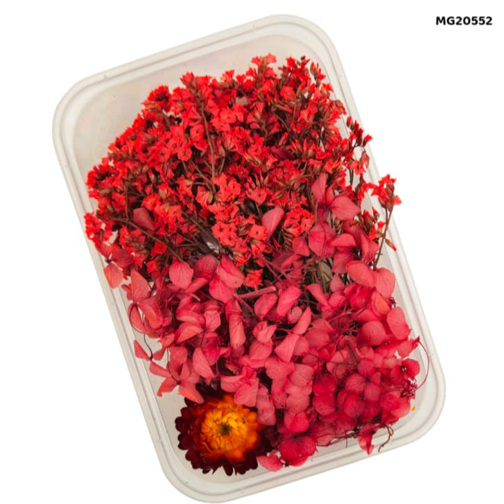 dry flower for resin art
wholesale dried flowers for resin
dried flowers for resin meesho
artificial flowers for resin art
dried flowers for resin jewellery
dry flowers for resin art near me
dried flowers for resin wholesale india
small dried flowers for resin
dried flowers for resin flipkart
insane craft supplies
Dry Flower Box MG20552