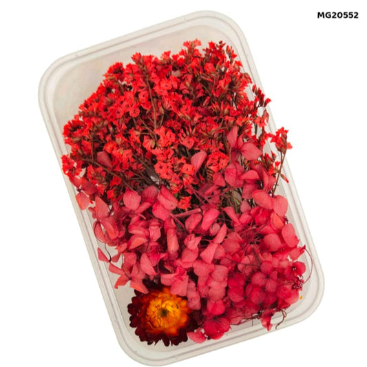 dry flower for resin art
wholesale dried flowers for resin
dried flowers for resin meesho
artificial flowers for resin art
dried flowers for resin jewellery
dry flowers for resin art near me
dried flowers for resin wholesale india
small dried flowers for resin
dried flowers for resin flipkart
insane craft supplies
Dry Flower Box MG20552