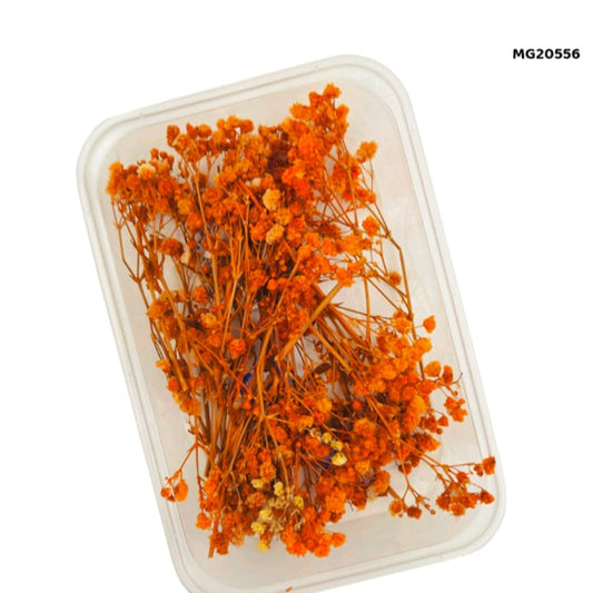 dry flower for resin art
wholesale dried flowers for resin
dried flowers for resin meesho
artificial flowers for resin art
dried flowers for resin jewellery
dry flowers for resin art near me
dried flowers for resin wholesale india
small dried flowers for resin
dried flowers for resin flipkart
insane craft supplies
Dry Flower Box MG20556