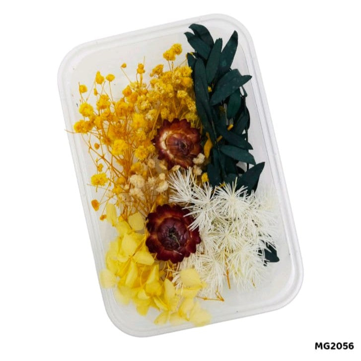 dry flower
insane craft supplies
krafty kart
krafty mall
tulsi resin store
pressed flower