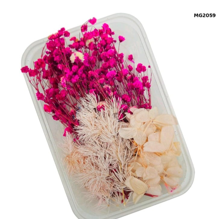 dry flower
pressed flower
insane craft supplies