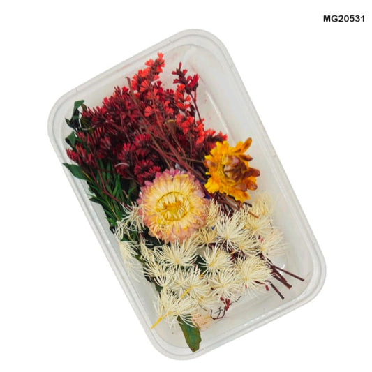 dry flower for resin art
wholesale dried flowers for resin
dried flowers for resin meesho
artificial flowers for resin art
dried flowers for resin jewellery
dry flowers for resin art near me
dried flowers for resin wholesale india
small dried flowers for resin
dried flowers for resin flipkart
insane craft supplies
Dry Flower MG20531
