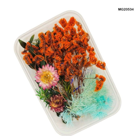 dry flower for resin art
wholesale dried flowers for resin
dried flowers for resin meesho
artificial flowers for resin art
dried flowers for resin jewellery
dry flowers for resin art near me
dried flowers for resin wholesale india
small dried flowers for resin
dried flowers for resin flipkart
insane craft supplies
Dry Flower MG20534