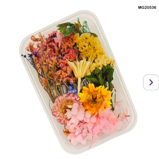 dry flower for resin art
wholesale dried flowers for resin
dried flowers for resin meesho
artificial flowers for resin art
dried flowers for resin jewellery
dry flowers for resin art near me
dried flowers for resin wholesale india
small dried flowers for resin
dried flowers for resin flipkart
insane craft supplies
Dry Flower MG20536