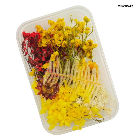 dry flower for resin art
wholesale dried flowers for resin
dried flowers for resin meesho
artificial flowers for resin art
dried flowers for resin jewellery
dry flowers for resin art near me
dried flowers for resin wholesale india
small dried flowers for resin
dried flowers for resin flipkart
insane craft supplies
Dry Flower MG20547