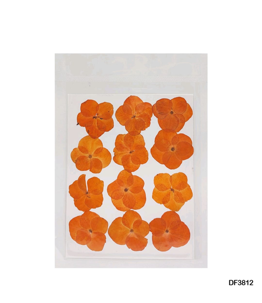 Dry Flower Sheet Orange