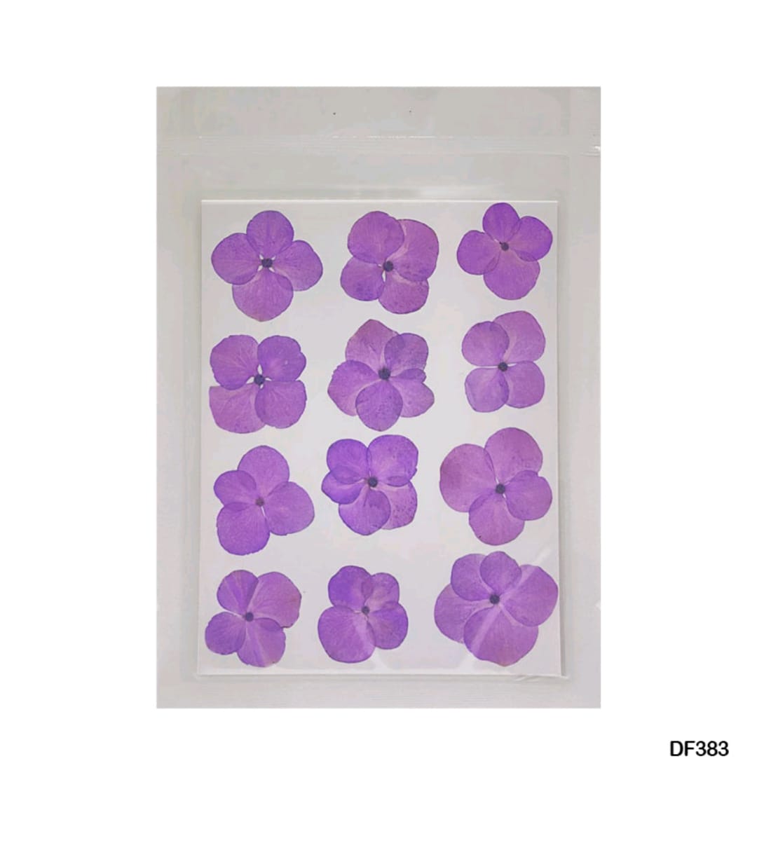 Dry Flower Sheet Purple