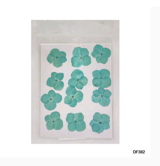 Dry Flower Sheet Teal