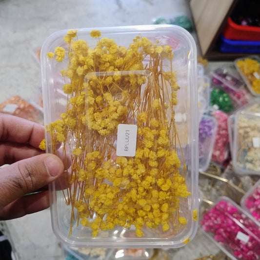 Yellow baby Breath dried flower 