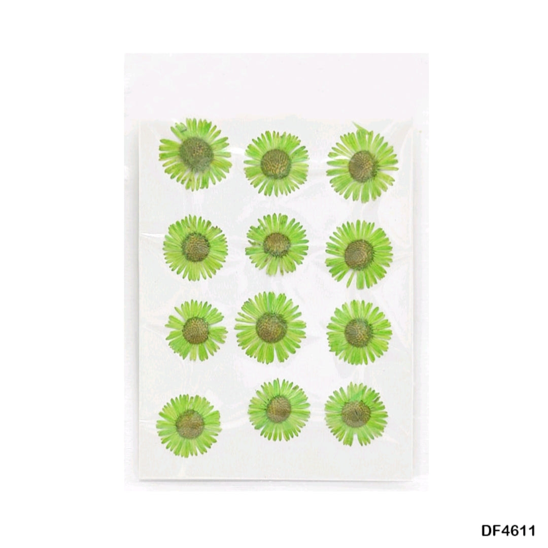 Dry Flower light Green