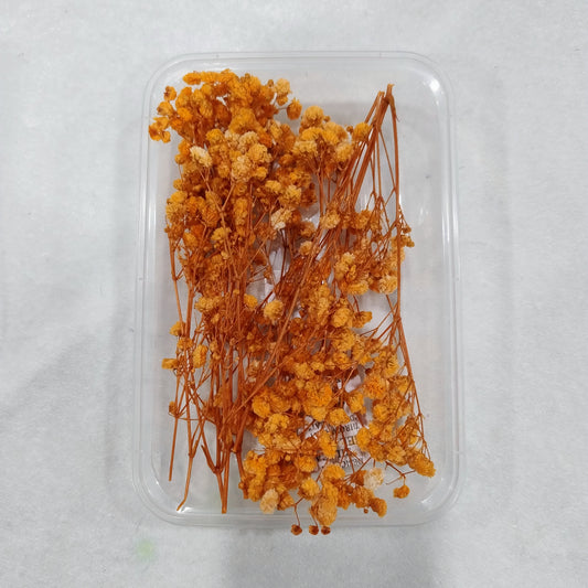 Baby Breath Dry Flower Yellow