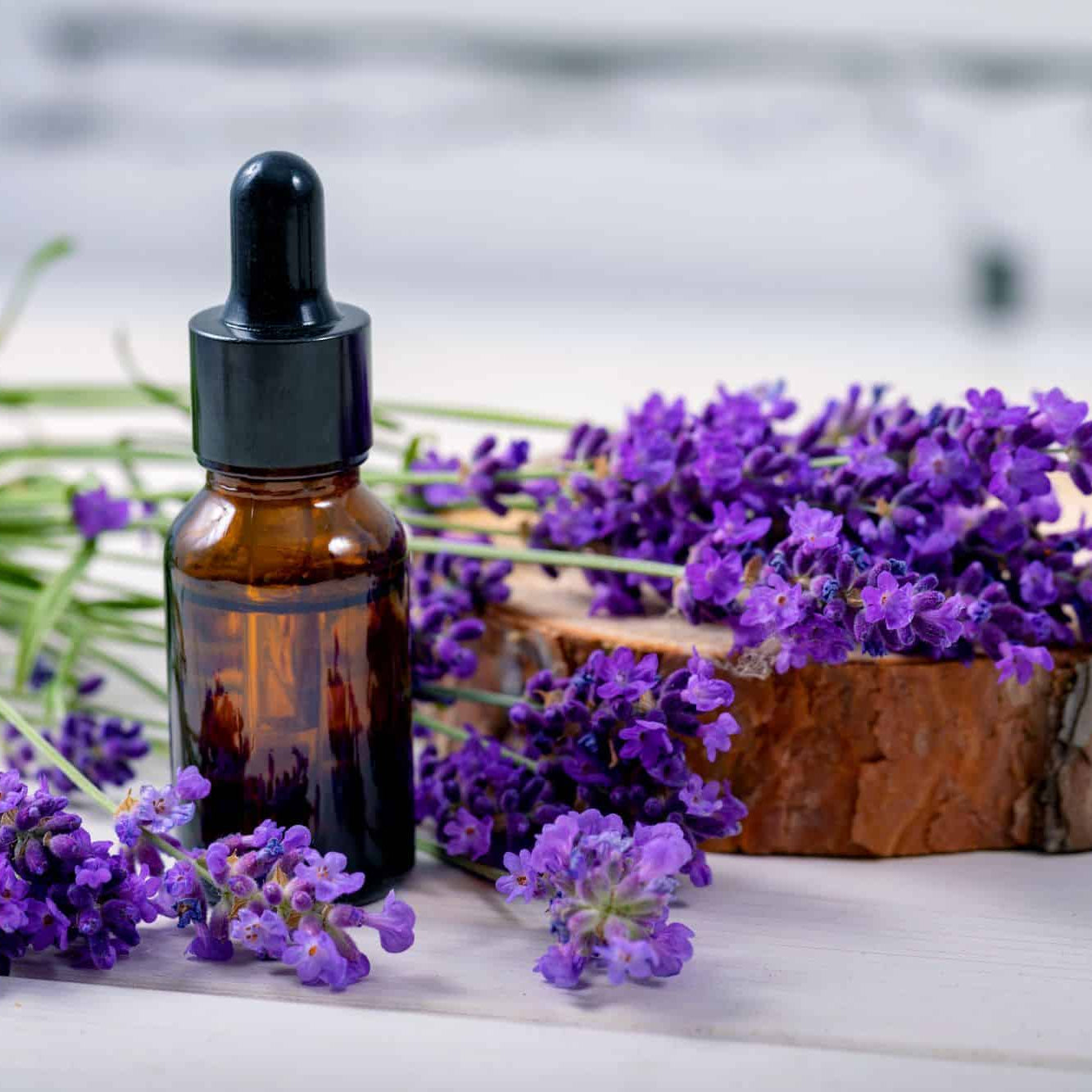 Lavender Fragrance Oil
Lavender Fragrance Oil for candle candle Fragrance Oil
insane craft supplies