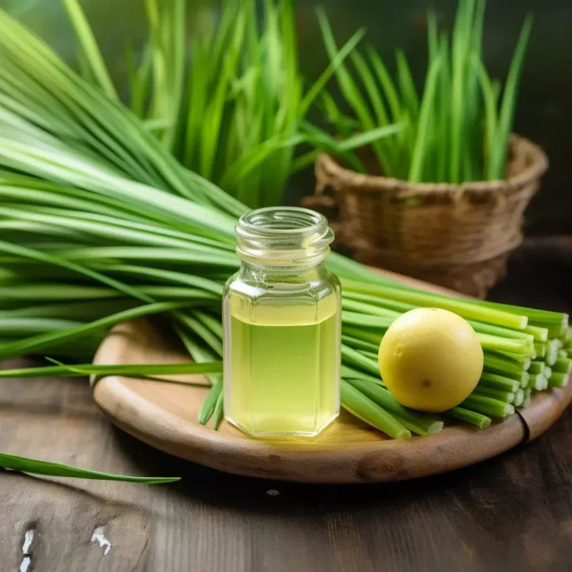 Lemon Grass Fragrance Oil
Lemon Grass Fragrance Oil for candle making
candle making material
candle essential oils
insane craft supplies