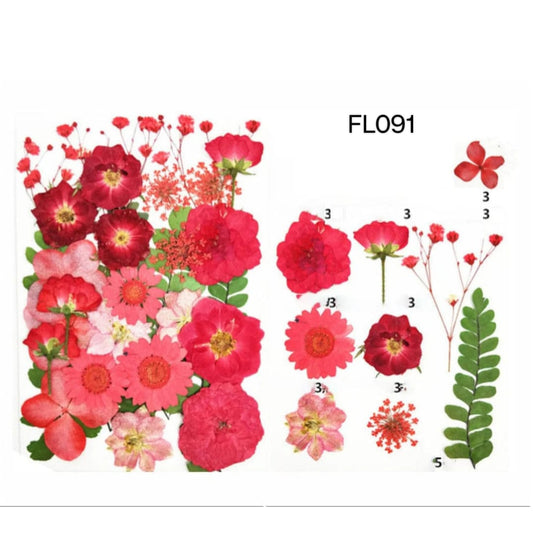 dry flower
dry flower for resin
pressed flower
pressed flower used in resin
pressed dry flower
flower used in resin 
dry flower used in resin
resin dry flower
wholesale dry flower used in resin
wholesale resin art material
resin art material near me
insane craft supplies
wholesale resin art material in india 
wholesale resin art material in delhi 
wholesale resin art material in mumbai
wholesale resin art material in chandigarh
