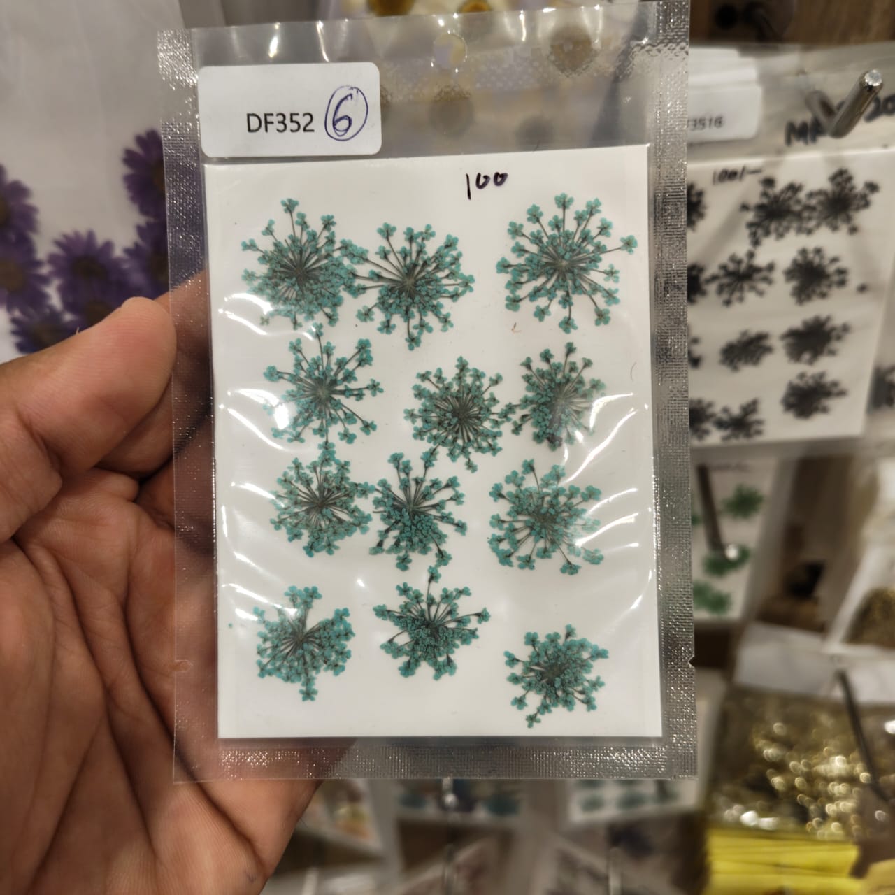 dry flower
dry flower for resin
pressed flower
pressed flower used in resin
pressed dry flower
flower used in resin 
dry flower used in resin
resin dry flower
wholesale dry flower used in resin
wholesale resin art material
resin art material near me
insane craft supplies
wholesale resin art material in india 
wholesale resin art material in delhi 
wholesale resin art material in mumbai
wholesale resin art material in chandigarh
Daisy Pressed Flower