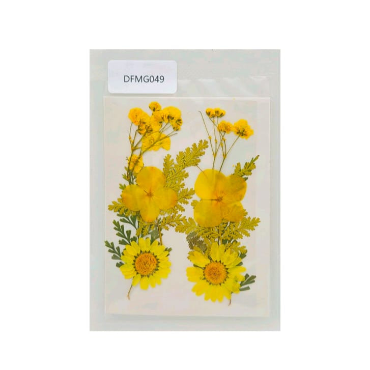 dry flower
dry flower for resin
pressed flower
pressed flower used in resin
pressed dry flower
flower used in resin 
dry flower used in resin
resin dry flower
wholesale dry flower used in resin
wholesale resin art material
resin art material near me
insane craft supplies
wholesale resin art material in india 
wholesale resin art material in delhi 
wholesale resin art material in mumbai
wholesale resin art material in chandigarh
Daisy Pressed Flower