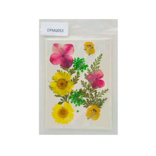 dry flower
dry flower for resin
pressed flower
pressed flower used in resin
pressed dry flower
flower used in resin 
dry flower used in resin
resin dry flower
wholesale dry flower used in resin
wholesale resin art material
resin art material near me
insane craft supplies
wholesale resin art material in india 
wholesale resin art material in delhi 
wholesale resin art material in mumbai
wholesale resin art material in chandigarh
Daisy Pressed Flower