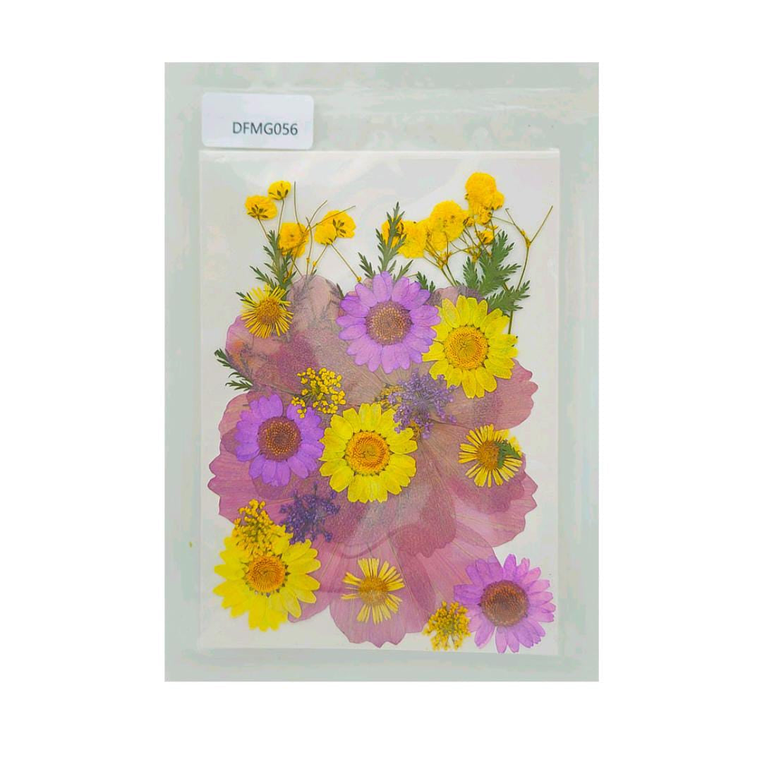 Pressed Flower DFMG056
dry flower
dry flower for resin
pressed flower
pressed flower used in resin
pressed dry flower
flower used in resin 
dry flower used in resin
resin dry flower
wholesale dry flower used in resin
wholesale resin art material
resin art material near me
insane craft supplies
wholesale resin art material in india 
wholesale resin art material in delhi 
wholesale resin art material in mumbai
wholesale resin art material in chandigarh
Daisy Pressed Flower