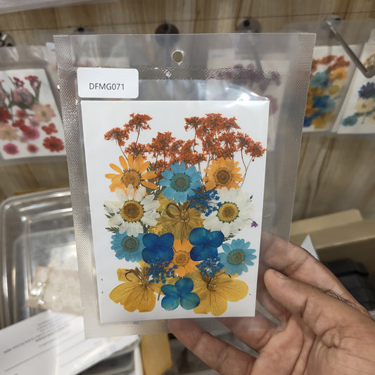 dry flower
dry flower for resin
pressed flower
pressed flower used in resin
pressed dry flower
flower used in resin 
dry flower used in resin
resin dry flower
wholesale dry flower used in resin
wholesale resin art material
resin art material near me
insane craft supplies
wholesale resin art material in india 
wholesale resin art material in delhi 
wholesale resin art material in mumbai
wholesale resin art material in chandigarh