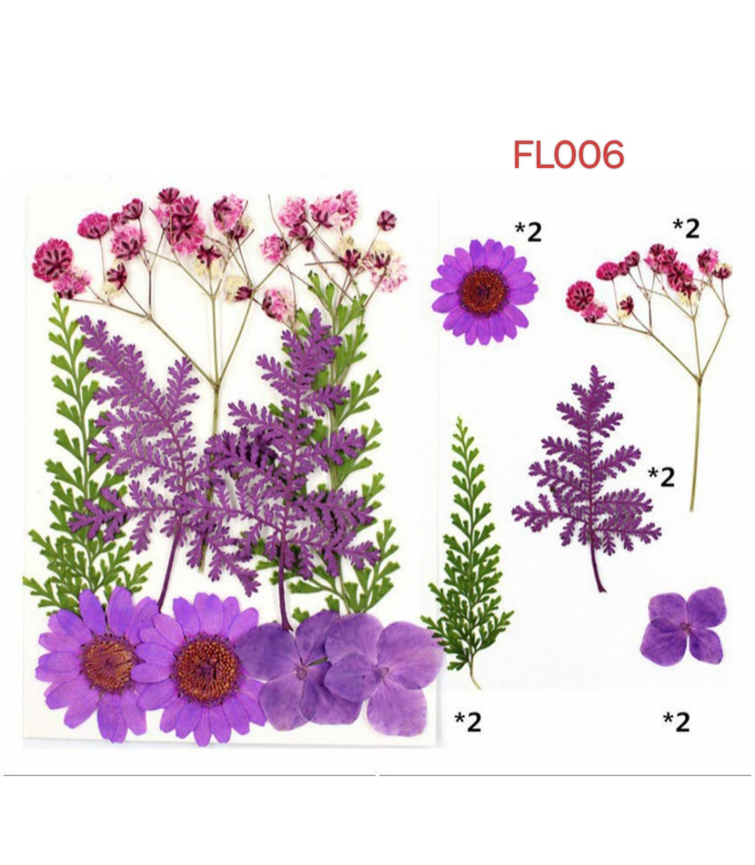 Pressed Flower FL006
dry flower
dry flower for resin
pressed flower
pressed flower used in resin
pressed dry flower
flower used in resin 
dry flower used in resin
resin dry flower
wholesale dry flower used in resin
wholesale resin art material
resin art material near me
insane craft supplies
wholesale resin art material in india 
wholesale resin art material in delhi 
wholesale resin art material in mumbai
wholesale resin art material in chandigarh
Daisy Pressed Flower