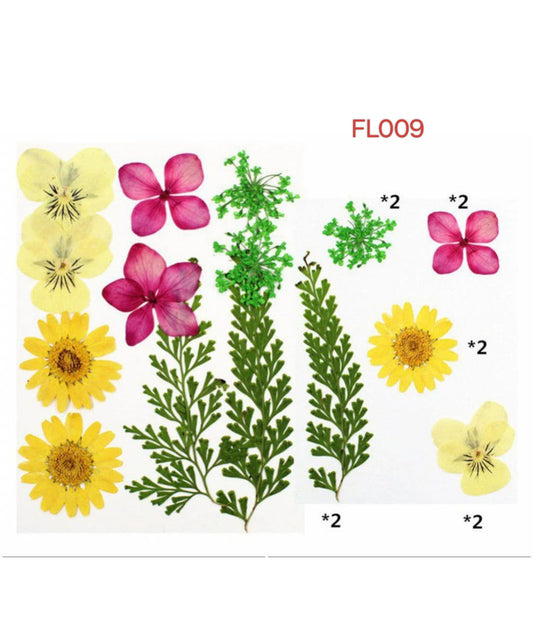 dry flower
dry flower for resin
pressed flower
pressed flower used in resin
pressed dry flower
flower used in resin 
dry flower used in resin
resin dry flower
wholesale dry flower used in resin
wholesale resin art material
resin art material near me
insane craft supplies
wholesale resin art material in india 
wholesale resin art material in delhi 
wholesale resin art material in mumbai
wholesale resin art material in chandigarh
Daisy Pressed Flower
Pressed Flower FL009