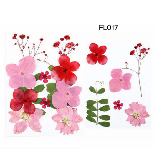 dry flower
dry flower for resin
pressed flower
pressed flower used in resin
pressed dry flower
flower used in resin 
dry flower used in resin
resin dry flower
wholesale dry flower used in resin
wholesale resin art material
resin art material near me
insane craft supplies
wholesale resin art material in india 
wholesale resin art material in delhi 
wholesale resin art material in mumbai
wholesale resin art material in chandigarh