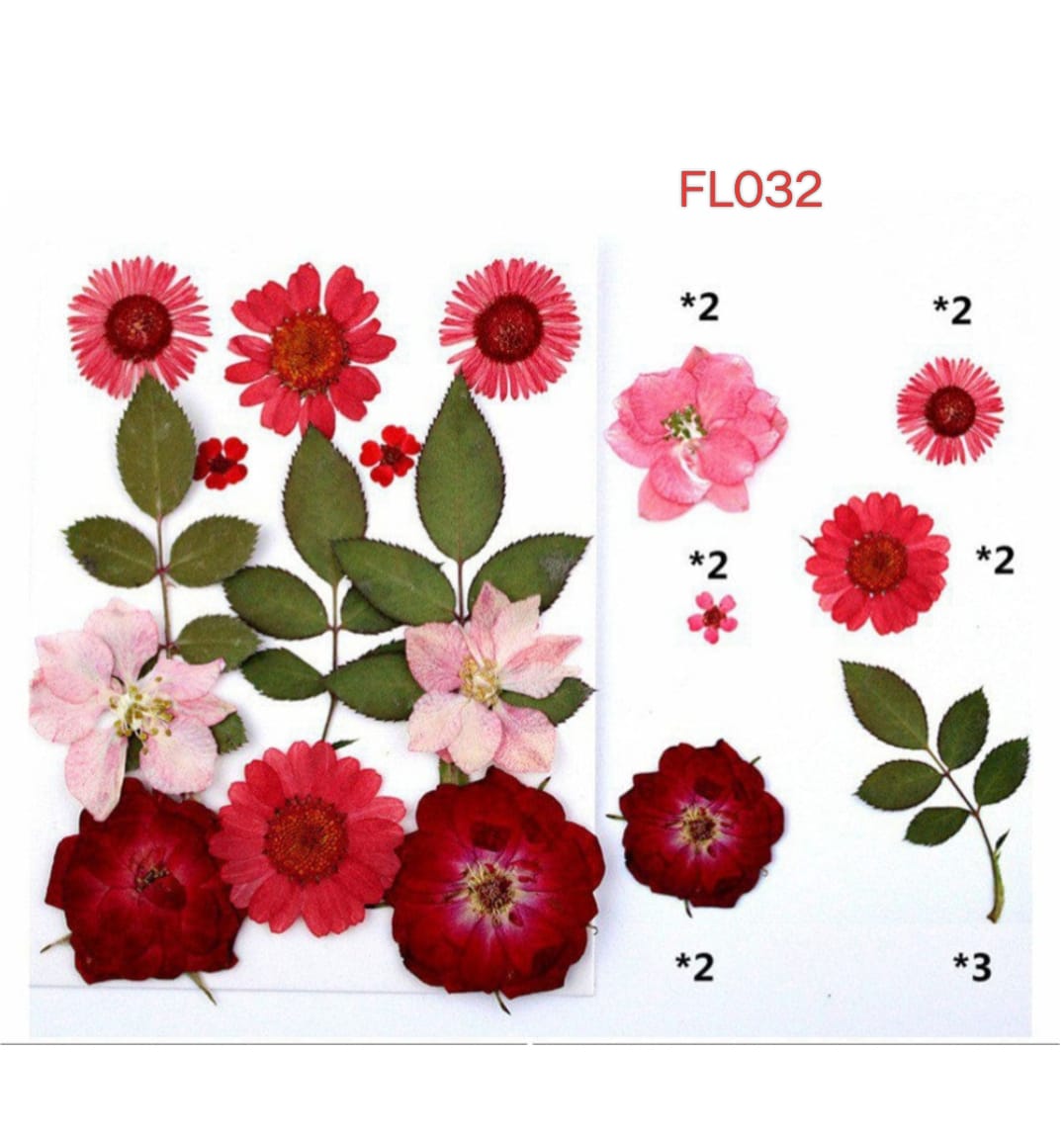 Pressed Flower FL032
dry flower
dry flower for resin
pressed flower
pressed flower used in resin
pressed dry flower
flower used in resin 
dry flower used in resin
resin dry flower
wholesale dry flower used in resin
wholesale resin art material
resin art material near me
insane craft supplies
wholesale resin art material in india 
wholesale resin art material in delhi 
wholesale resin art material in mumbai
wholesale resin art material in chandigarh
Daisy Pressed Flower