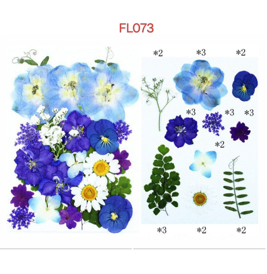 dry flower
dry flower for resin
pressed flower
pressed flower used in resin
pressed dry flower
flower used in resin 
dry flower used in resin
resin dry flower
wholesale dry flower used in resin
wholesale resin art material
resin art material near me
insane craft supplies
wholesale resin art material in india 
wholesale resin art material in delhi 
wholesale resin art material in mumbai
wholesale resin art material in chandigarh
Daisy Pressed Flower