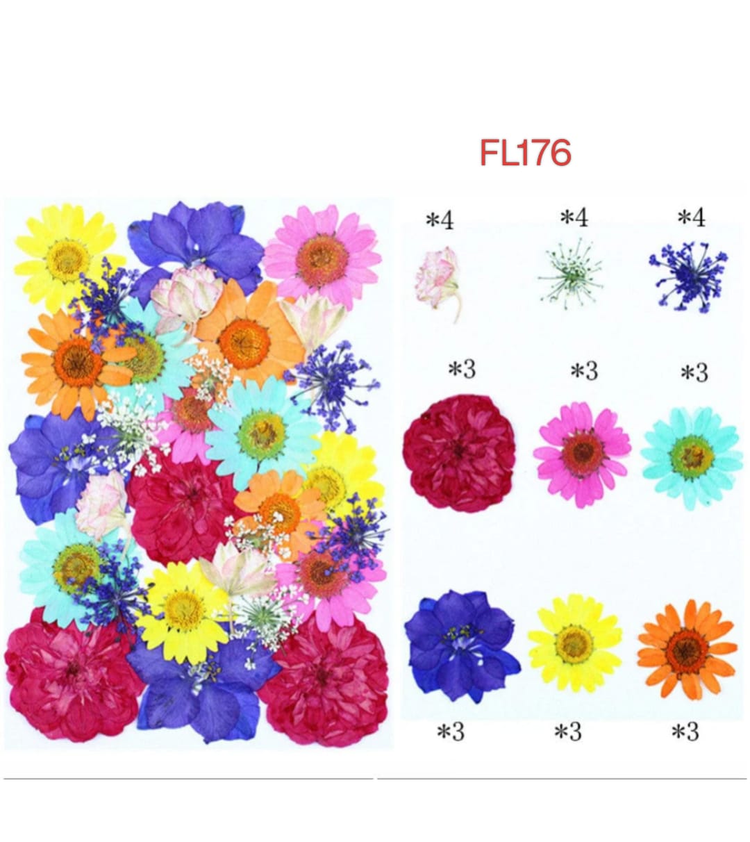 Pressed Flower FL176
dry flower
dry flower for resin
pressed flower
pressed flower used in resin
pressed dry flower
flower used in resin 
dry flower used in resin
resin dry flower
wholesale dry flower used in resin
wholesale resin art material
resin art material near me
insane craft supplies
wholesale resin art material in india 
wholesale resin art material in delhi 
wholesale resin art material in mumbai
wholesale resin art material in chandigarh
Daisy Pressed Flower