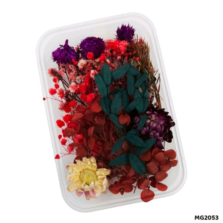 dry flower
resin dry flower
pressed flower
hydrangea flower
insane craft supplies
