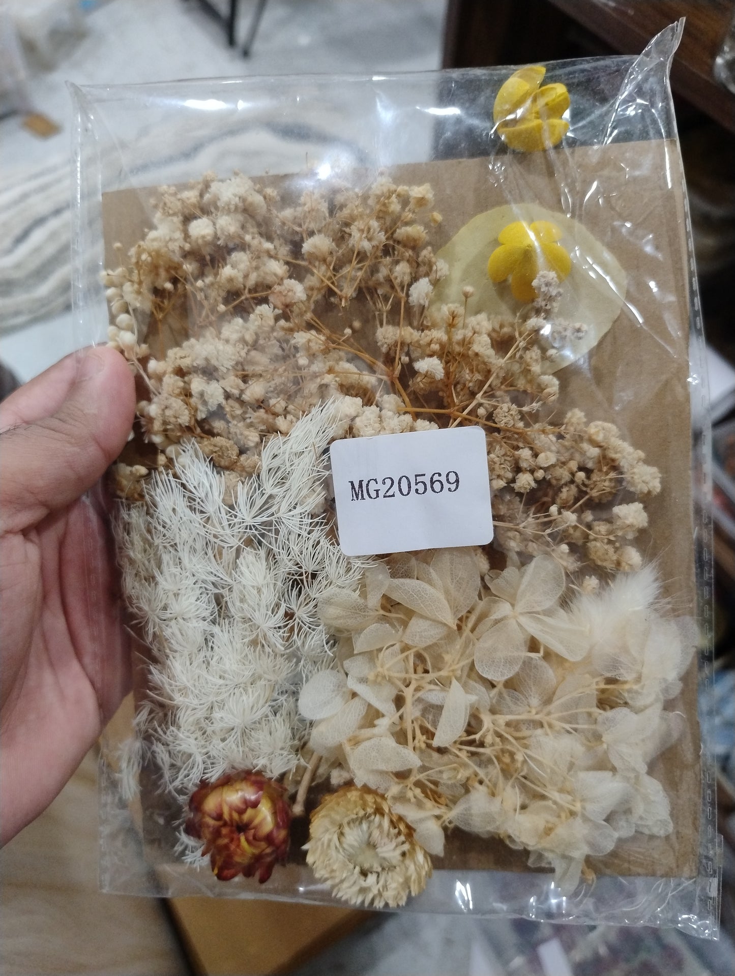 Dry Flower Card MG 20569