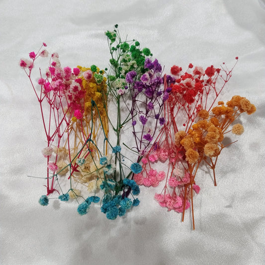 Mix Baby Breath Dry Flower